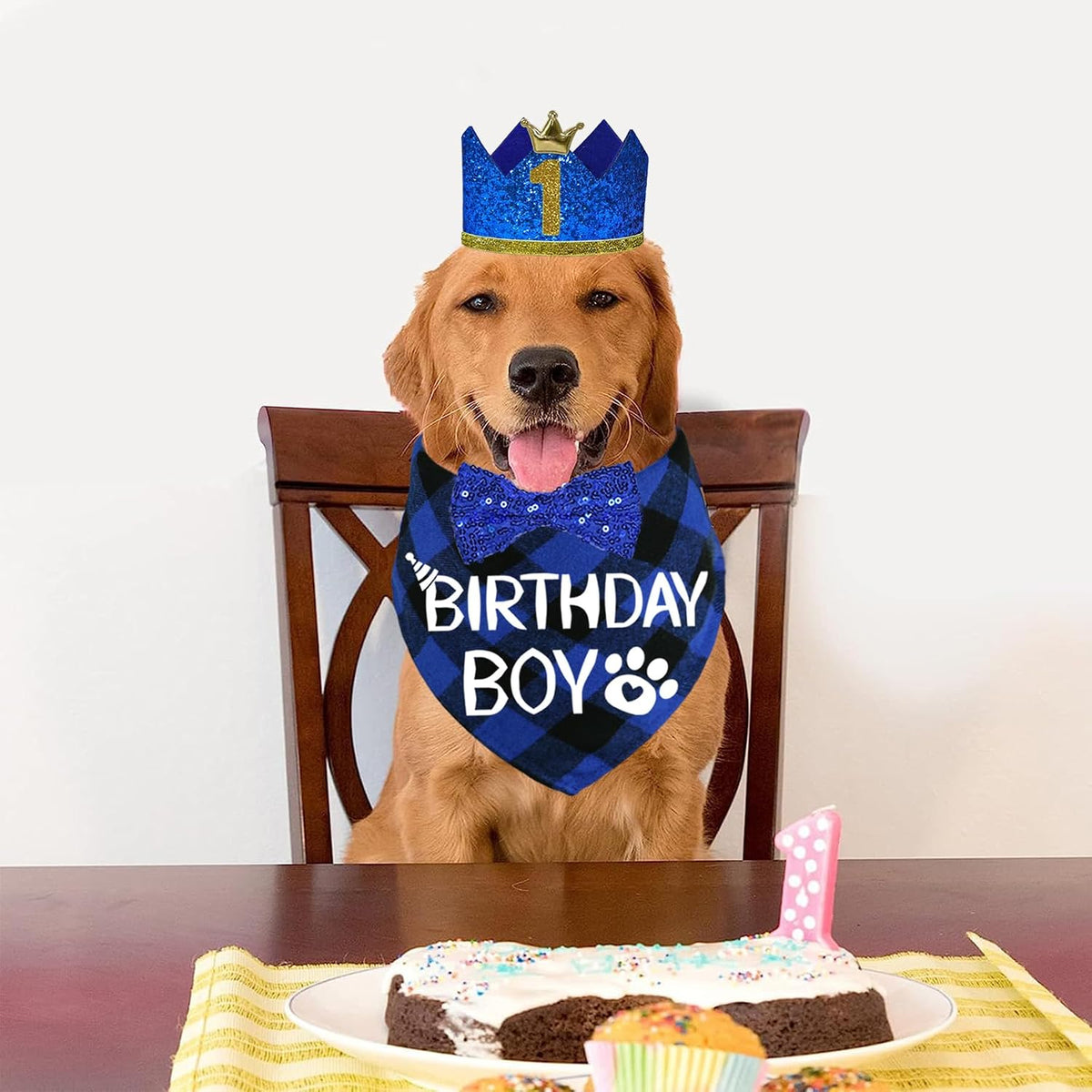 STMK Dog Birthday Party Supplies - Large / Blue - image 3