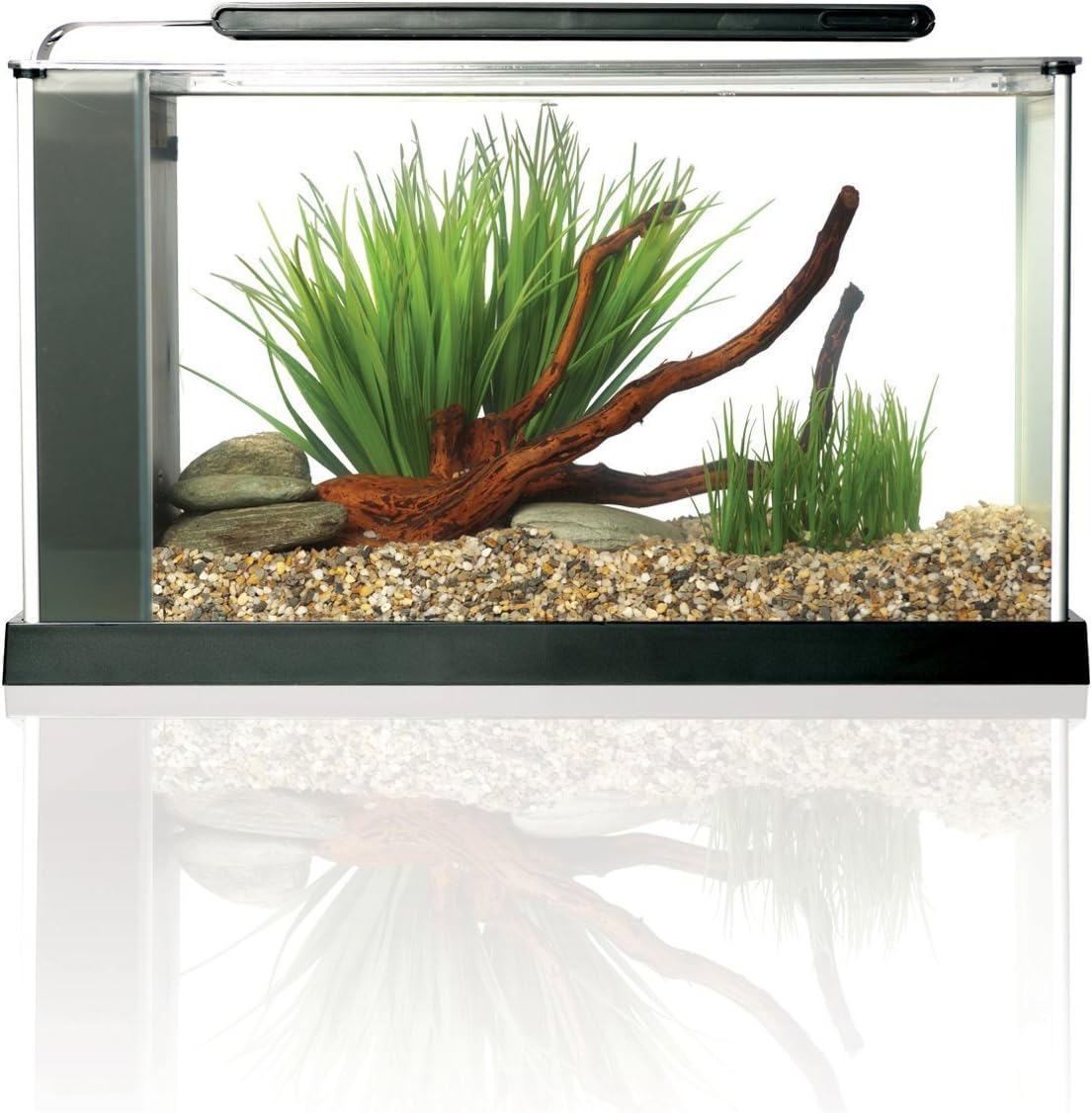 Fluval SPEC Aquarium Kit – Essentials for Fish - 5 Gal. / Black - image 2