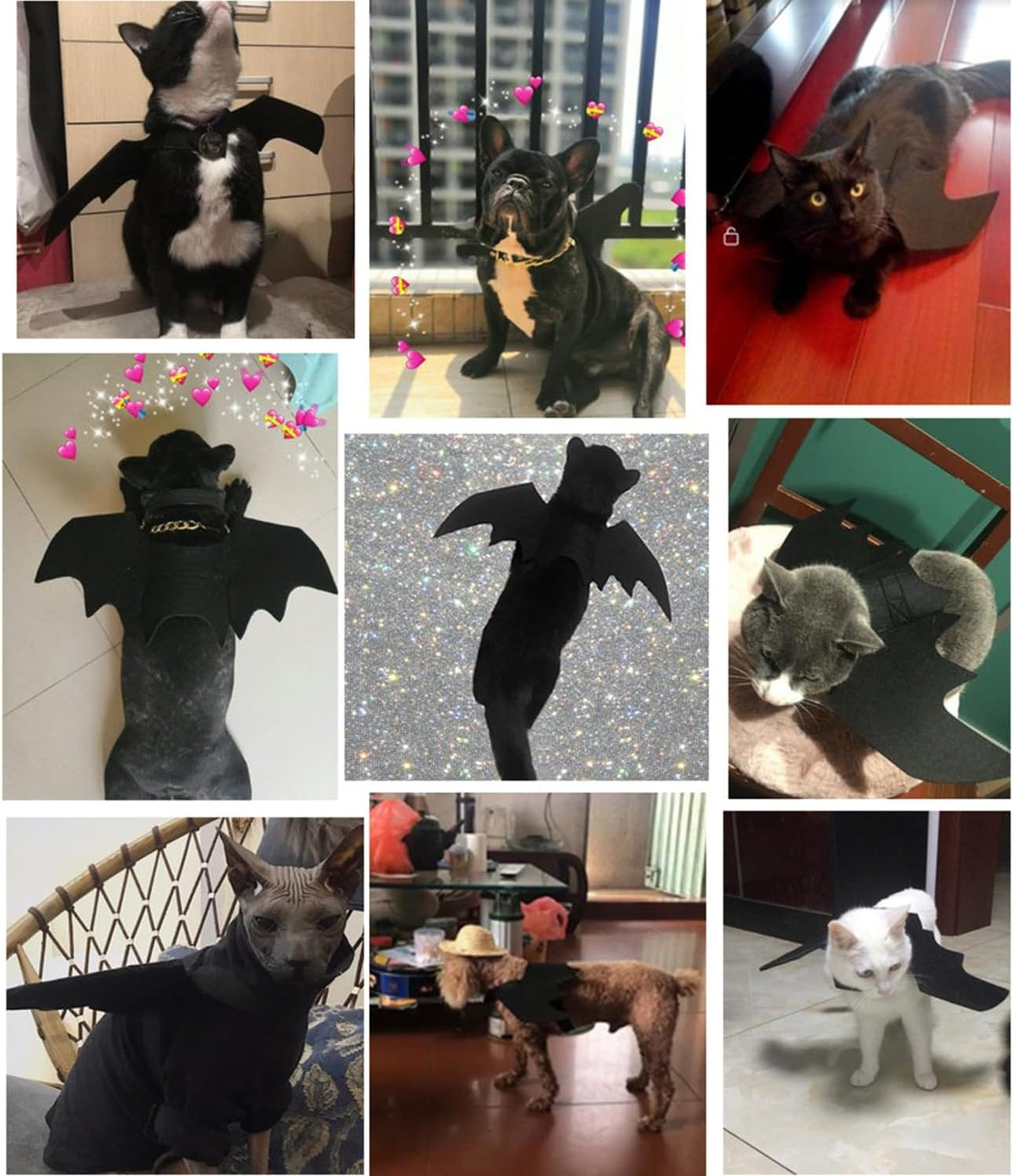 Pet Cat Bat Wings for Halloween Party Decoration - Small / Pure Black - image 2