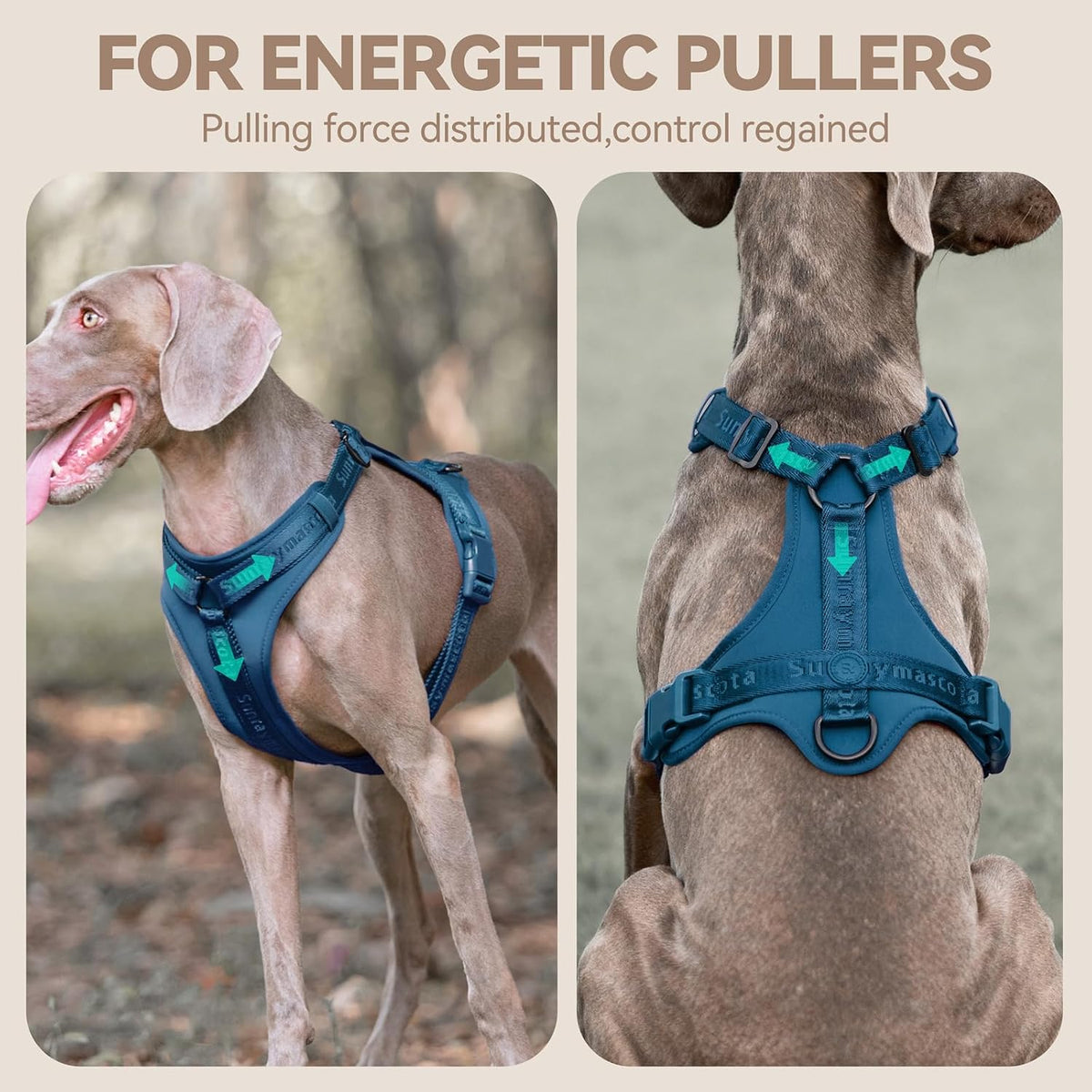 Sunraymascota Dog Harness - M (Neck: 16-26", Chest: 21-31") / Prussian Blue - image 2