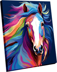 Paint by Numbers DIY Acrylic Painting Kit for Kids & Adults Beginner - Colorful Horse Head Framed