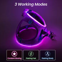 PceoTllar Light Up Dog Harness, LED No Pull Reflective Dog Harness, Flashing Lighted for Night Walking - Small/Medium, (Purple,XS)