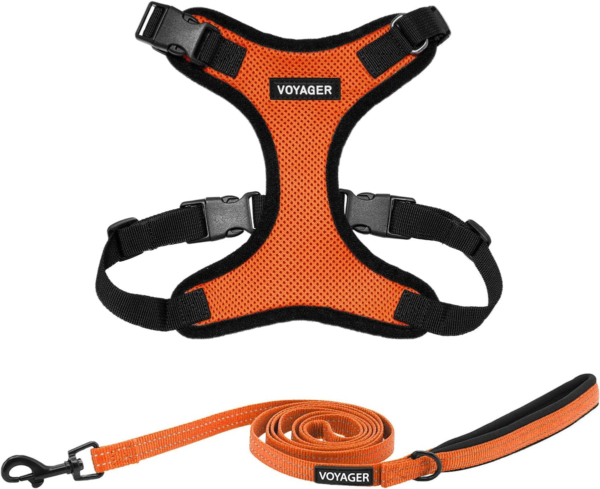 Best Pet Supplies Voyager Step-in Lock Pet Harness w Reflective Pet - Harness Leash Set (Orange/Black Trim) / L (Chest: 20 - 25")
