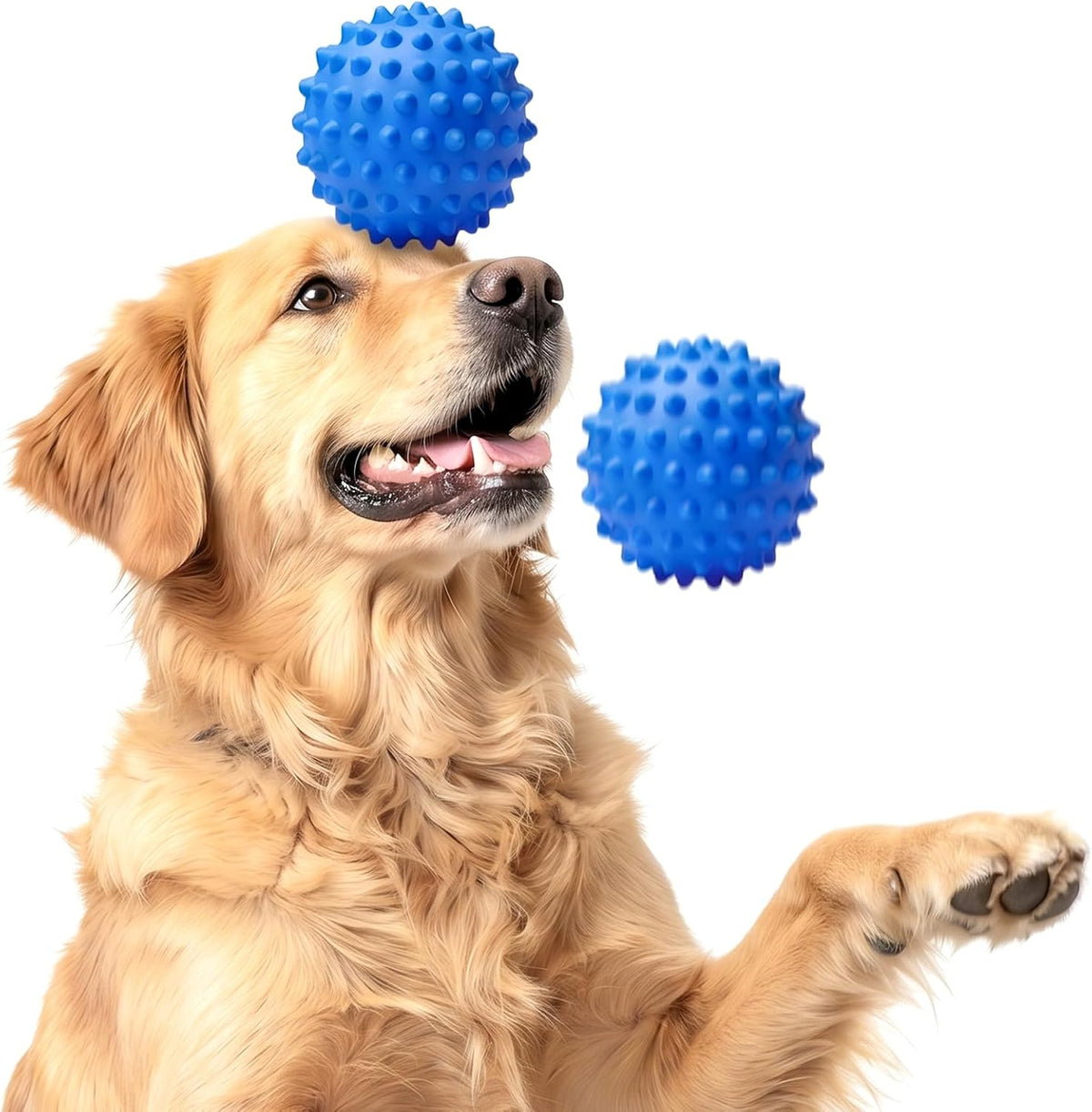 3.5''Durable Squeaky Dog Ball for 25-80lbs Aggressive Chewers – Essentials for Dogs - 2 PC-Bacon-Blue