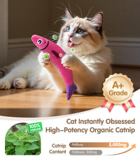 PetBusy Cat Toys with [5000 mg A+Natural Catnip & Silvervine] Kicker - Blue+Yellow+Pink - image 2