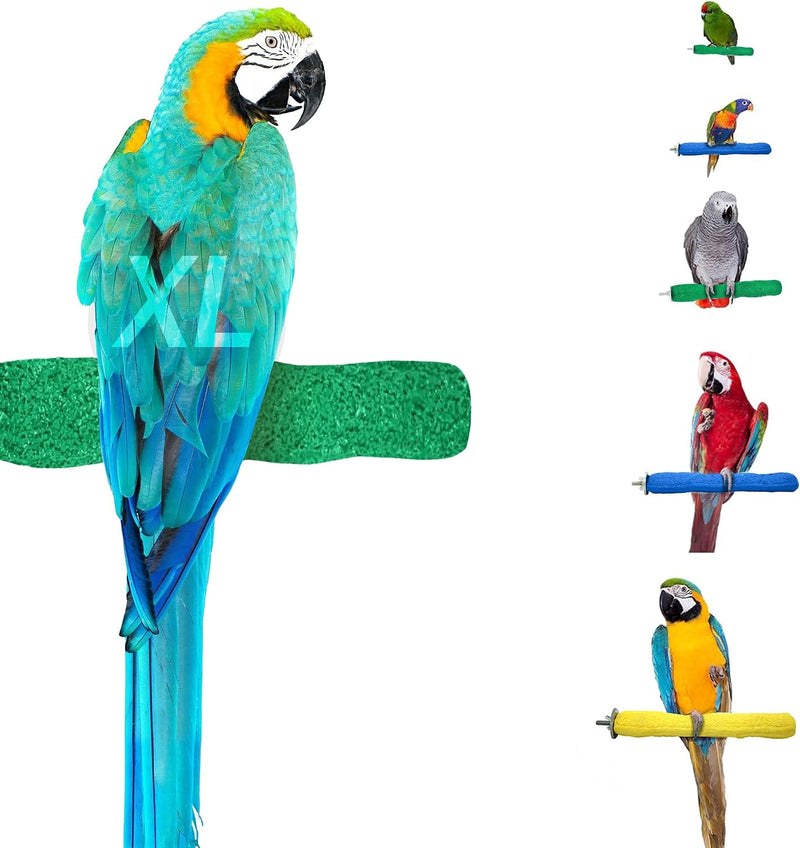 Sweet Feet and Beak Comfort Grip Safety Bird Perch - Green / X-Large 13.5"