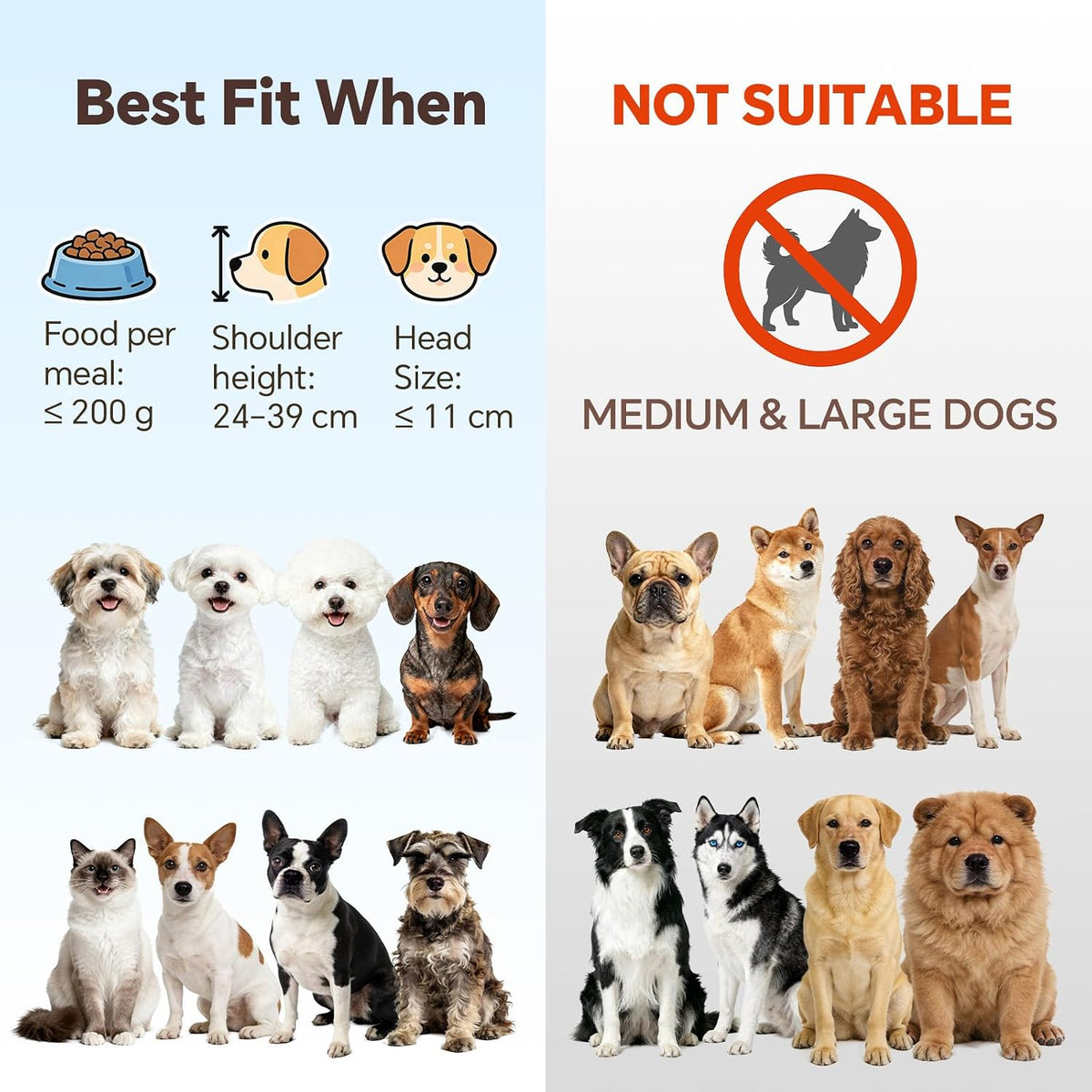 Small Glass Tilted Elevated Cat Dog Bowl Raised Cat Food Water Bowl - Small / White-Flat - image 3