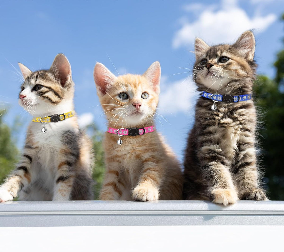 16 PCS Breakaway Cat Collars with Bells Reflective Cat Collar Safety - Kittens(6" - 9") - image 2