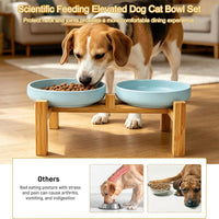Ceramic Cat Bowls, Shallow Cat Dishes for Food and Water - Sky blue elevated - image 3