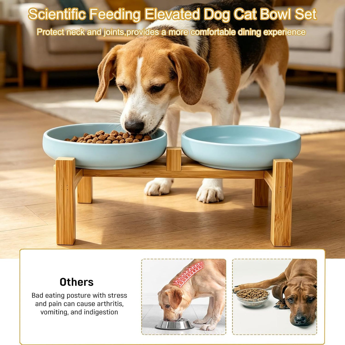 Ceramic Cat Bowls, Shallow Cat Dishes for Food and Water - Sky blue elevated - image 3