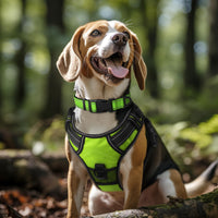 Joytale Reflective Dog Collar, Adjustable Neoprene Padded - X-Large (Pack of 1) / Green - image 2