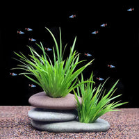 Natural River Stone Plant Weights for Aquarium - Large 1.2″ Hole 5pcs - image 4