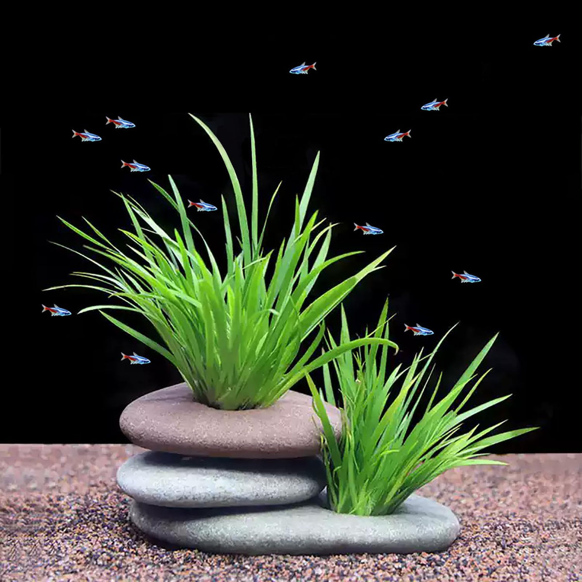 Natural River Stone Plant Weights for Aquarium - Large 1.2″ Hole 5pcs - image 4