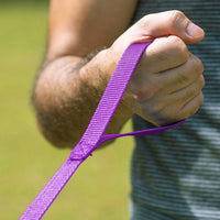 Hi Kiss Dog/Puppy Obedience Recall Training Agility Lead - 100 Feet / Purple - image 2