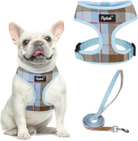 Pupteck Soft Mesh Dog Harness Sized and Leash Set Pet Puppy Cat - Blue&Brown / M (NECK: 14", CHEST: 17"-21") / Classic over-the-head harness