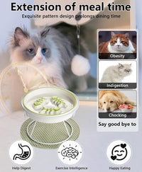 Ceramic Elevated Slow Feeder Cat Bowl, Anti Vomit - Green - image 4