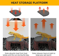 Bearded Dragon Basking Platform - S: 7.7×4.7×2 inch | Style-B - image 3