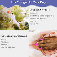 Nail Grippers for Dogs - Dog Anti Slip, Toe Grippers for Senior Dogs, Stop Sliding on Hardfloor, Two Ways of Use, Dog Paw Protector, Increase Traction, Reduce Pain & Struggle (45PCS/Pack)