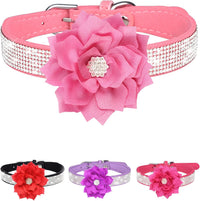 Rhinestone Sparkly Flower Dog Collar with Detachable Bloom