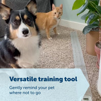 PetSafe ScatMat Indoor Training Mat – Essentials for Dogs - Medium 30" x 16" (Pack of 12) - image 4