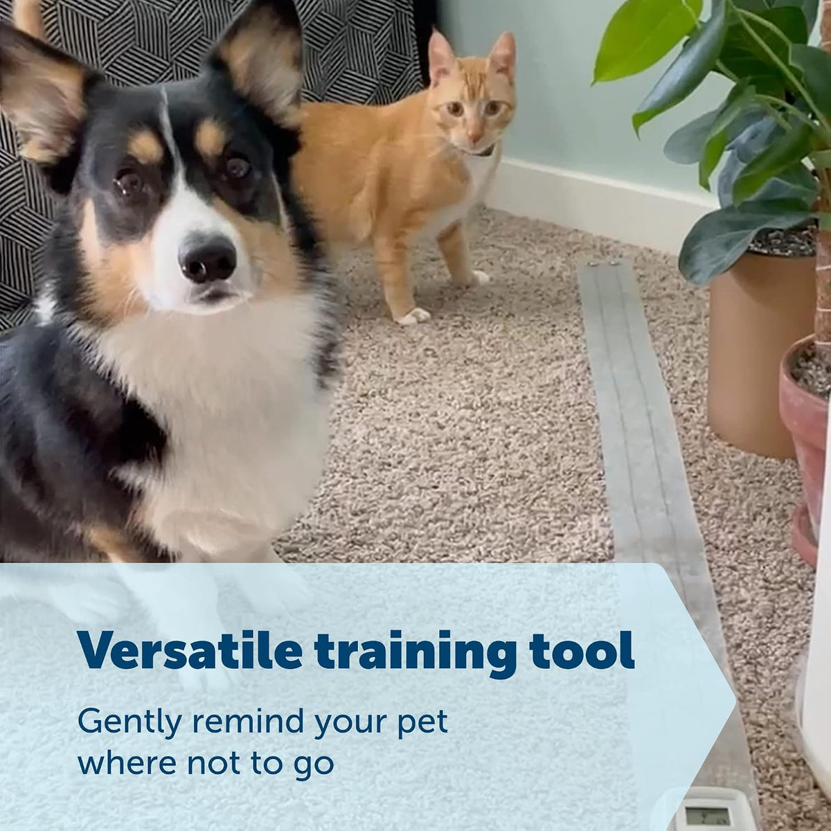 PetSafe ScatMat Indoor Training Mat – Essentials for Dogs - Medium 30" x 16" (Pack of 12) - image 4