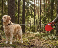 16ft Retractable Dog Leash for Large Breed Dogs up to 110 lbs - Large / Red - image 3
