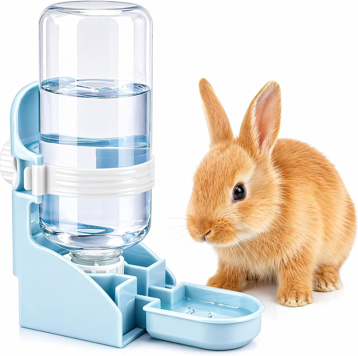 Rabbit Water Bottle No-Drip, Bunny Guinea Pig Water Dispenser – Essentials for Small Pets - Blue