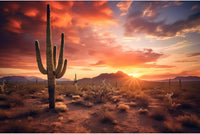 Reptile Tank Backdrop Sunset Desert Terrarium Background Saguaro - 48(W)x18(H)inches/ 120(W)*45cm(H) / Cacti Green
