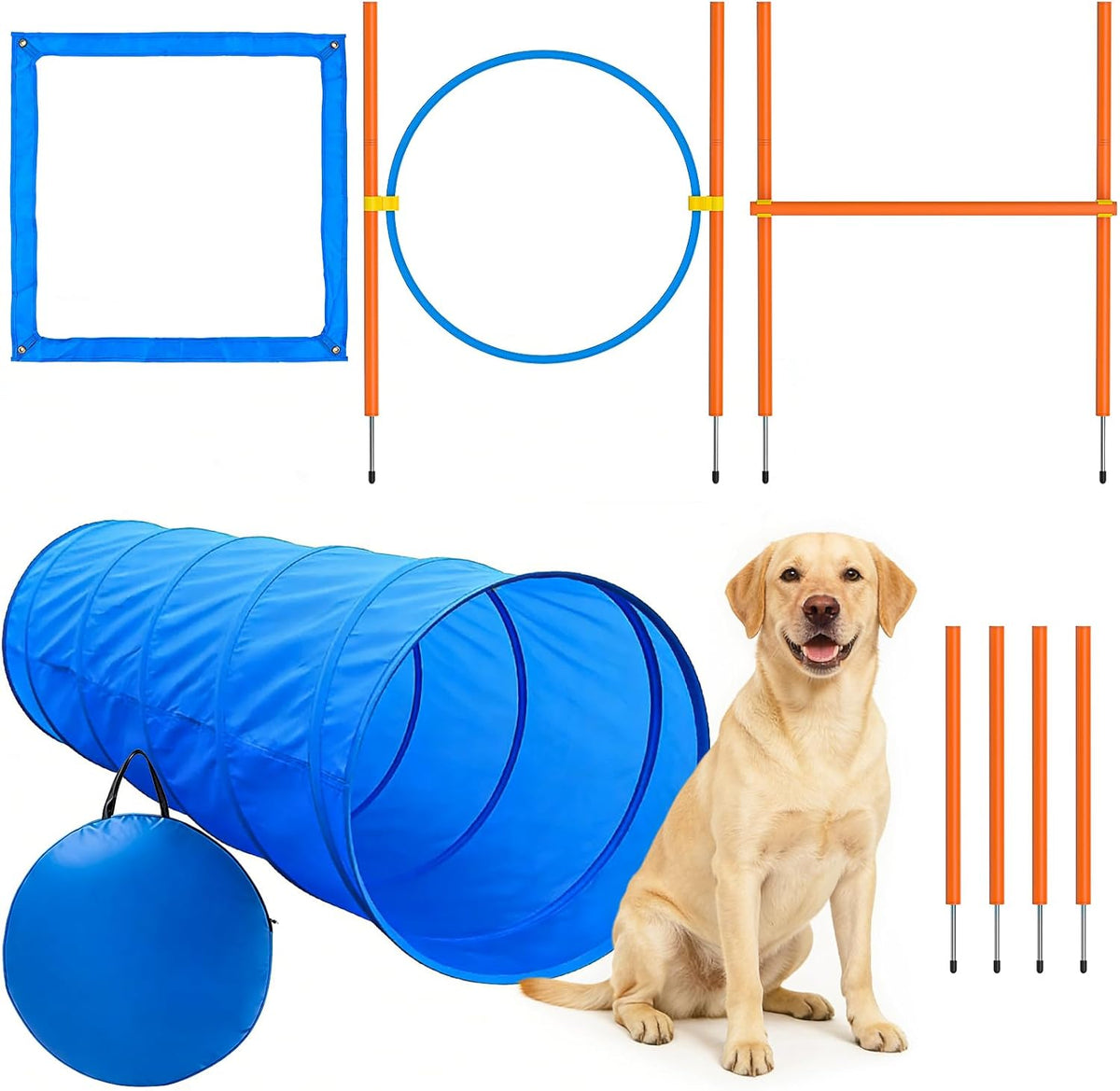 XiaZ Dog Agility Course Backyard Set