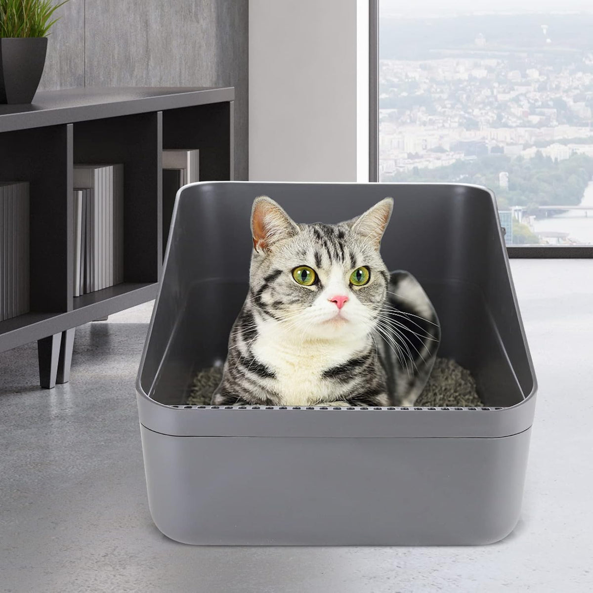 Open Cat Litter Box:Odor Reducing Anti Splash Design – Daily Care for Cats - Dark Grey Small - image 3