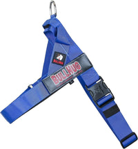 Adjustable Dog Harness, No Pull, No Choke, for English Bulldogs - ROYAL BLUE / Large - (Neck: 19" - 23" Chest: 29" - 33") - image 3