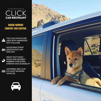 EzyDog CLICK – Dog Seat Belt for Car, Dog Harness Adjustable Seatbelt Attachment – Heavy Duty Nylon Seat Belt Webbing (17.5in - 26in)