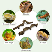Reptile Climbing Decor 1.8-2.2" Thick Wood Branches Snake Habitat - 14-16 inches - image 4