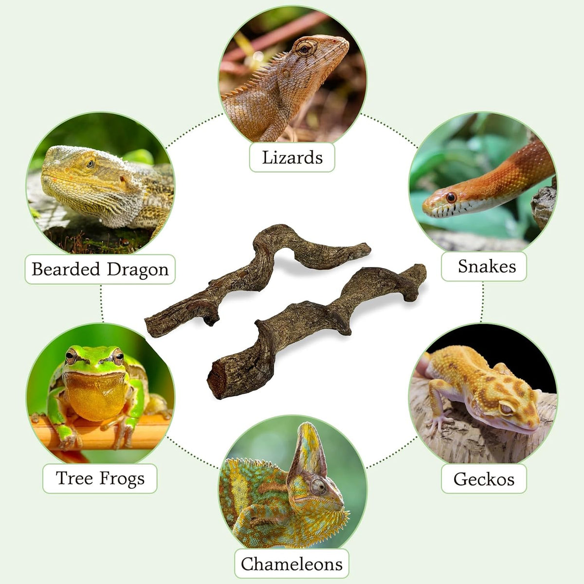 Reptile Climbing Decor 1.8-2.2" Thick Wood Branches Snake Habitat - 14-16 inches - image 4