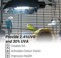 Bird Cage Light Fixture Combo Kit - image 3