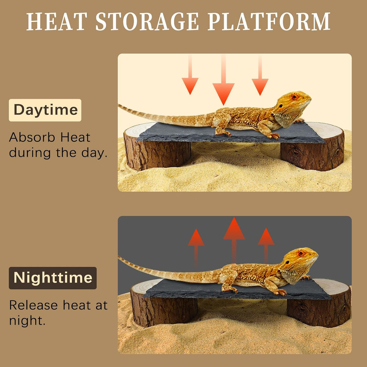 Bearded Dragon Basking Platform - XL - 10" x 6" x 1.6" - image 3
