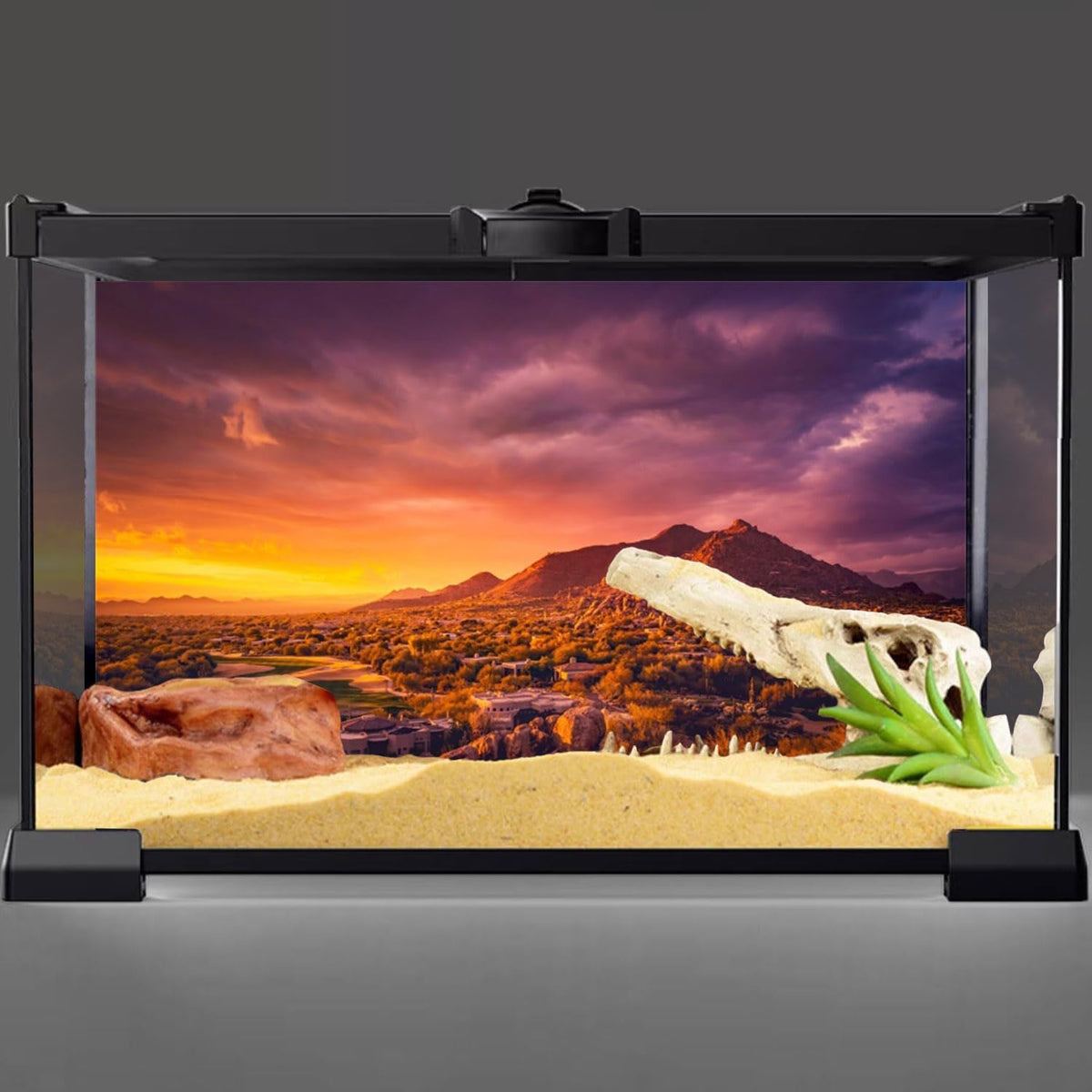 48x20 in Sun Desert Terrarium Backdrop Mountain Reptile Habitat - 24x16in/60x40cm - image 2