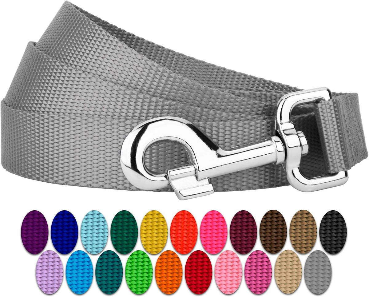 Country Brook Petz, Everyday Nylon Dog Leash - Silver / 6 Foot X 1 Inch Wide (Pack of 1) - image 3