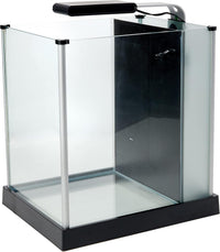 Fluval SPEC Aquarium Kit – Essentials for Fish - 2.6 Gal. / Black - image 2