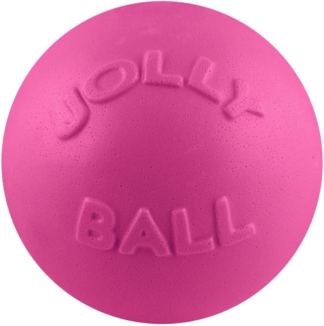 Jolly Pets Bounce-n-Play Dog Toy Ball - Blueberry / Large (8 in) - image 3