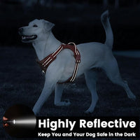 No Pull Dog Harness, Reflective Puppy Vest for Small Medium Large Sized Dog(Carmel Brown,L)