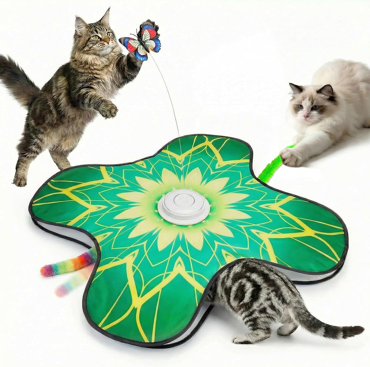 Interactive Cat Toys For Indoor Cats - Green