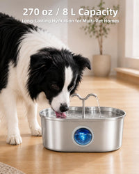 8L/270oz/2Gallon Stainless Steel Dog Water Fountain Pet Fountain – Essentials for Dogs - Fountain+3 Filters +3 Sponges - image 4