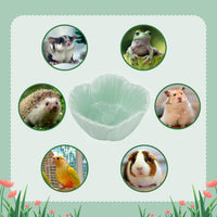 Small Ceramic Pet Hamster Bowl - s,1pc / Green - image 4