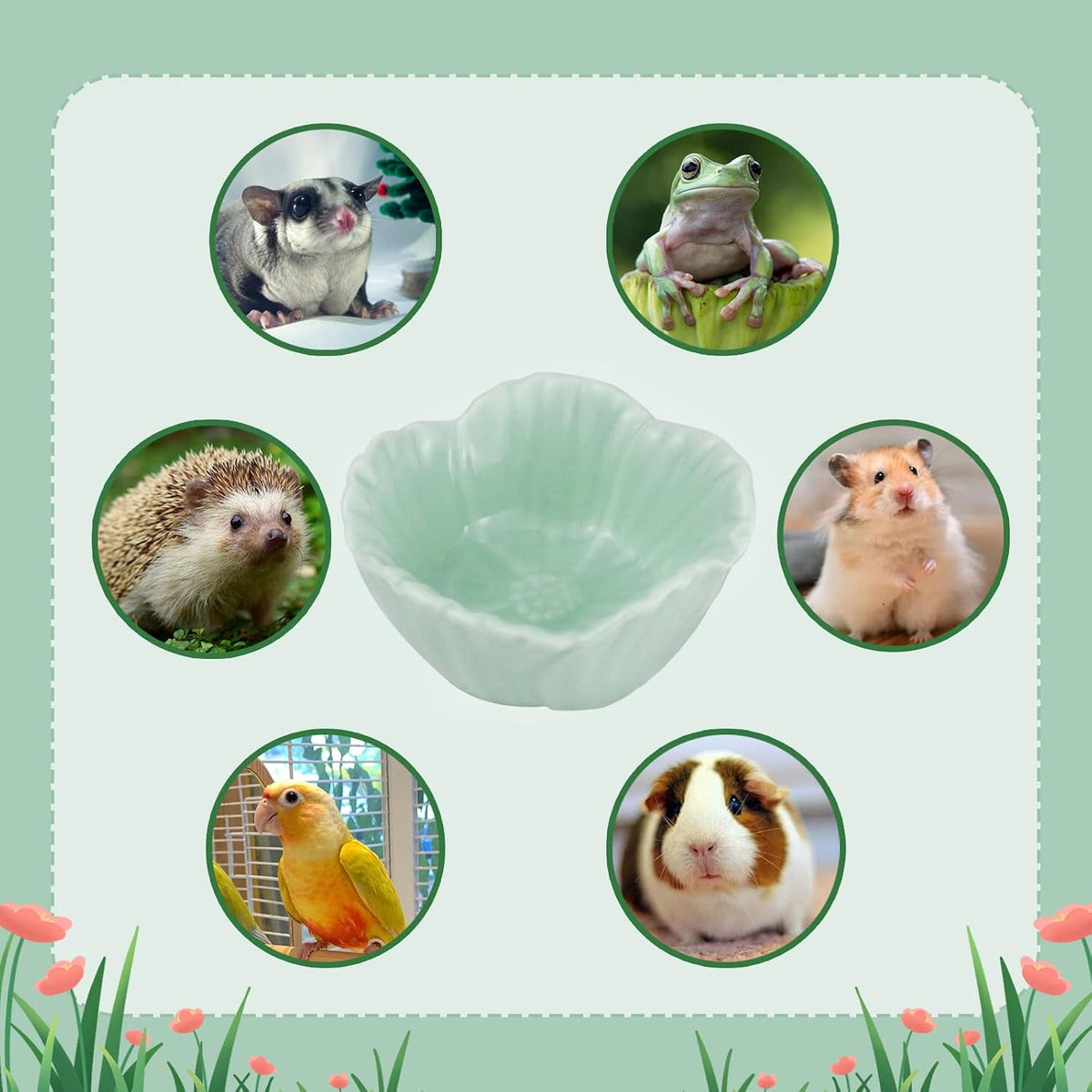 Small Ceramic Pet Hamster Bowl - s,1pc / Green - image 4