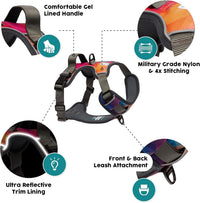 Embark No Pull Dog Harness, Reflective Adjustable Training Vest - XS / Aurora - image 3