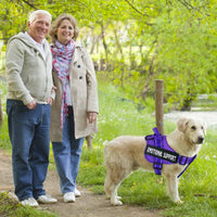 voopet Service Dog Harness, Emotional Support Pet Vest Harness - Medium (Pack of 1) / Purple - image 4