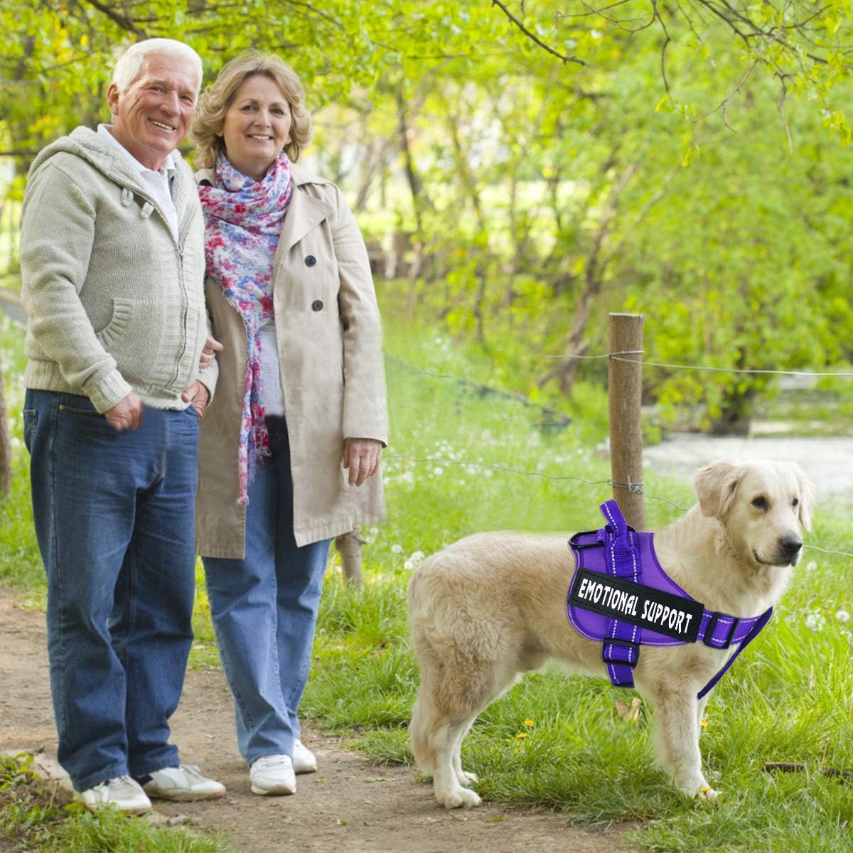 voopet Service Dog Harness, Emotional Support Pet Vest Harness - Medium (Pack of 1) / Purple - image 4