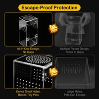Jumping Spider Enclosure Starter Kit - Green / Small - image 3