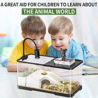 (Tank + Light + Filter + Filter Balls) Turtle Tank Kit, Turtle Tank Starter Kit,Bottom Drainage, Multi-Function Areas for Turtles, Crabs,Fishes, Amphibians,Reptiles.(15.75 x 8.64 x 8.64 Inch)